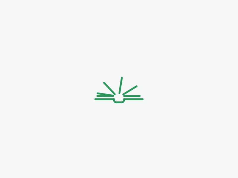 logo Mettzer Boy